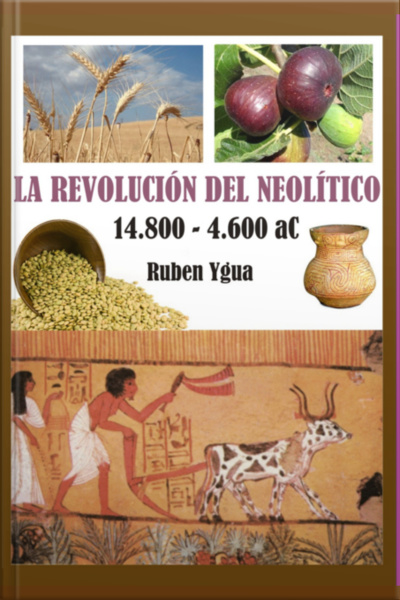La Revolución Del Neolitico