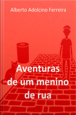 Aventuras de um menino de rua