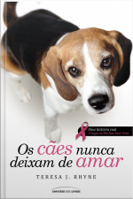 Os Cães Nunca Deixam De Amar
