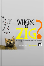 Where Is Zig?