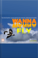 Wanna Wanna Fly