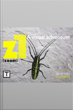 Z1: Zoom