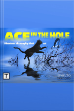 Ace In The Hole: Adventures Of A Naughty Black Cat