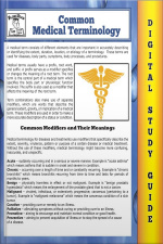 Common Medical Terminology (blokehead Easy Study Guide)