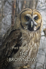 The Brown Owl: A Fairy Story