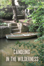 Canoeing In The Wilderness