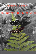 Il Bene E Il Male