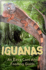 Iguanas: An Easy Care And Feeding Guide