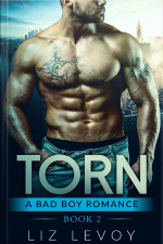 Torn 2