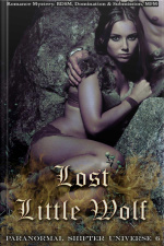 Lost Little Wolf: Book 6 Of paranormal Shifter Universe