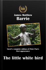 The Little White Bird Or The First Appearance Of Peter Pan