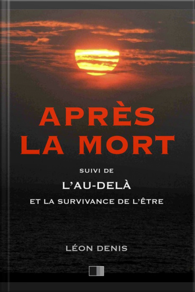 Après La Mort, Suive De Lau-delà Et La Survivance De Lêtre