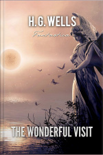 The Wonderful Visit