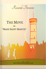 The Move Or make Saint Martin