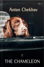 The Chameleon
