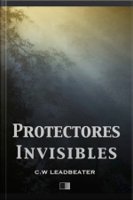 Protectores Invisibles