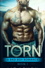 Torn 3
