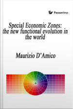 Special Economic Zones: The New Functional Evolution In The World