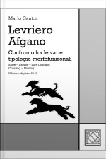 Levriero Afgano - Afghan Hound