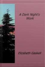 A Dark Nights Work