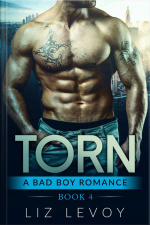 Torn 4