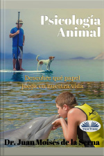 Psicologia Animal: Descubre Qué Papel Juega En La Vida