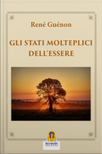 Gli Stati Moltiplici Dellessere