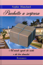 Pacchetto A Sorpresa: Nel Mondo Segreto Dei Ricchi E Dei Loro Domestici