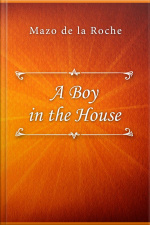 A Boy In The House