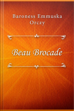 Beau Brocade
