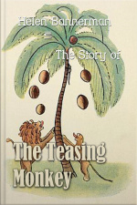 The Story Of The Teasing Monkey