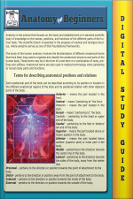 Anatomy For Beginners ( Blokehead Easy Study Guide)