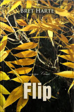 Flip: A California Romance