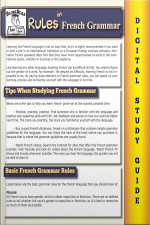 French Grammar ( Blokehead Easy Study Guide)