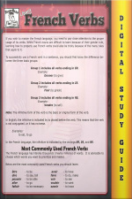 French Verbs ( Blokehead Easy Study Guide)