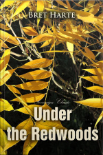 Under The Redwoods