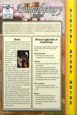 Aromatherapy (blokehead Easy Study Guide)
