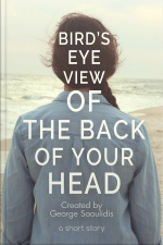 Bird’s-eye View Of The Back Of Your Head