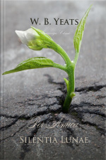 Per Amica Silentia Lunae