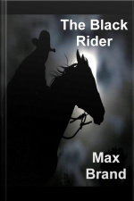 The Black Rider