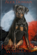 Rise Of The Warlock: The Beginning: Book 1 Of rise Of The Warlock