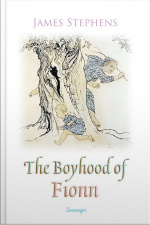 The Boyhood Of Fionn