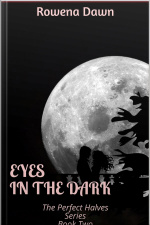 Eyes In The Dark: The Perfect Halves Series - Book Two