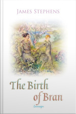 The Birth Of Bran