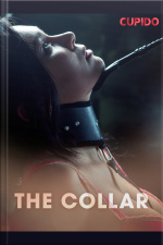 The Collar