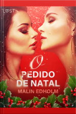 O Pedido De Natal - Conto Erótico