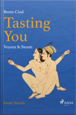 Tasting You: Voyeur  Steam