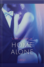 Home Alone - Erotic Short Story