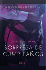 Sorpresa De Cumpleaños - Un Relato Erótico