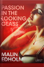 Passion In The Looking Glass - Erotic Short Story